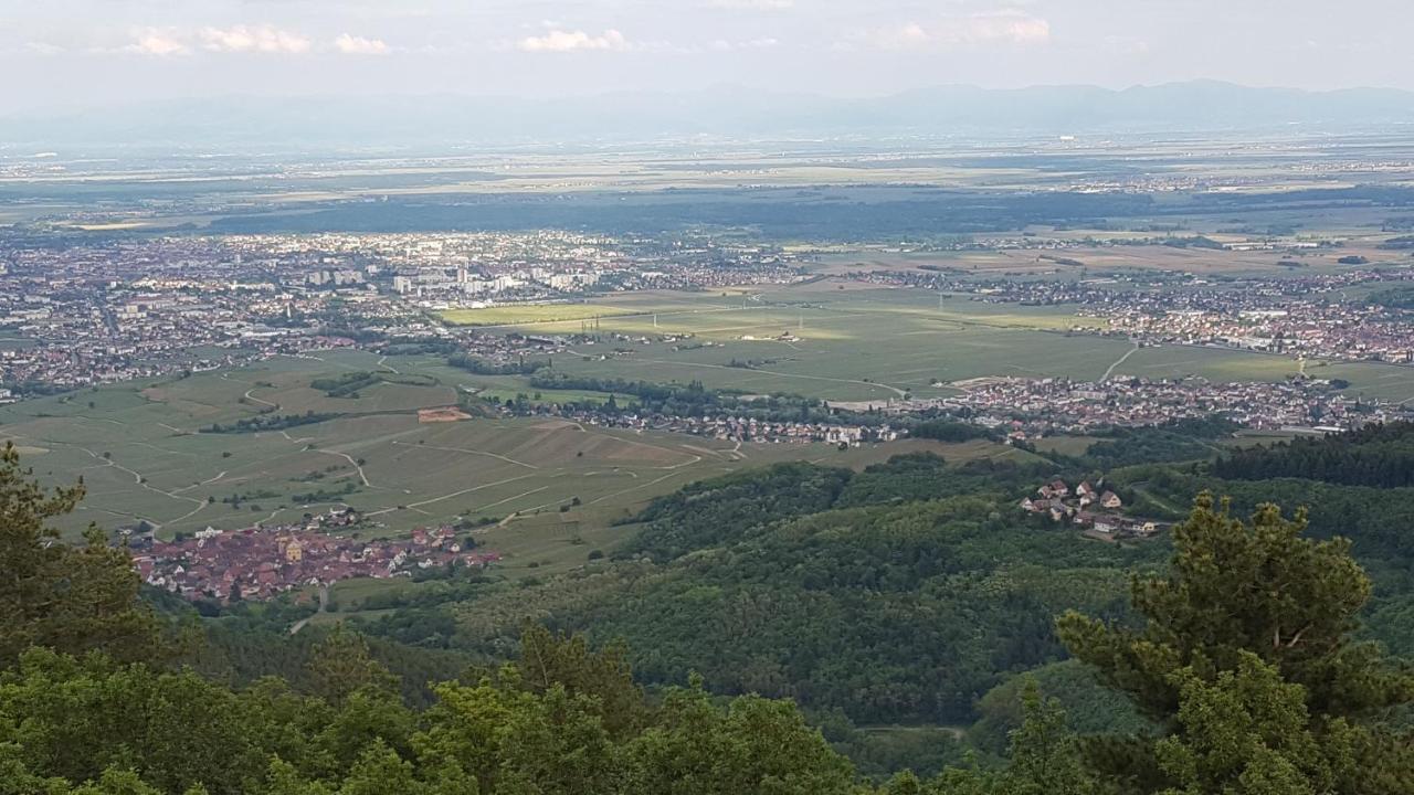 Les Iris Chambres D'Hote Niedermorschwihr Bagian luar foto