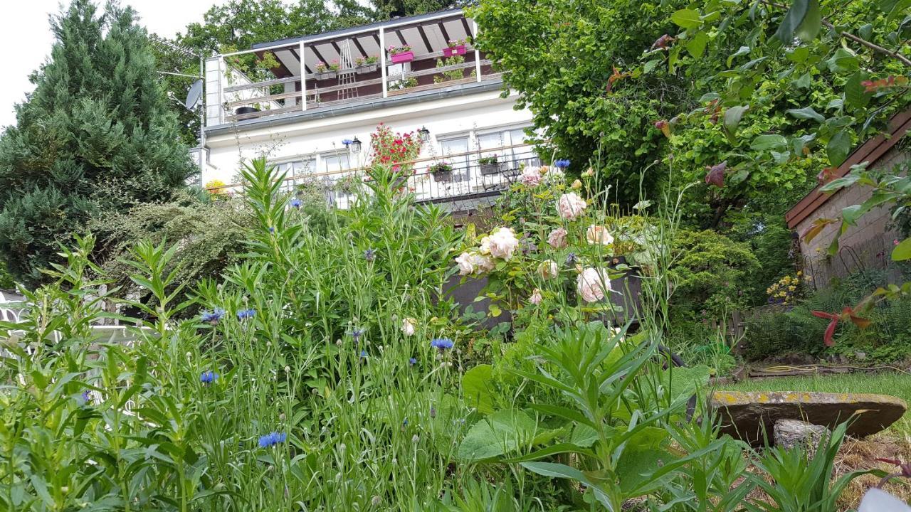 Les Iris Chambres D'Hote Niedermorschwihr Bagian luar foto