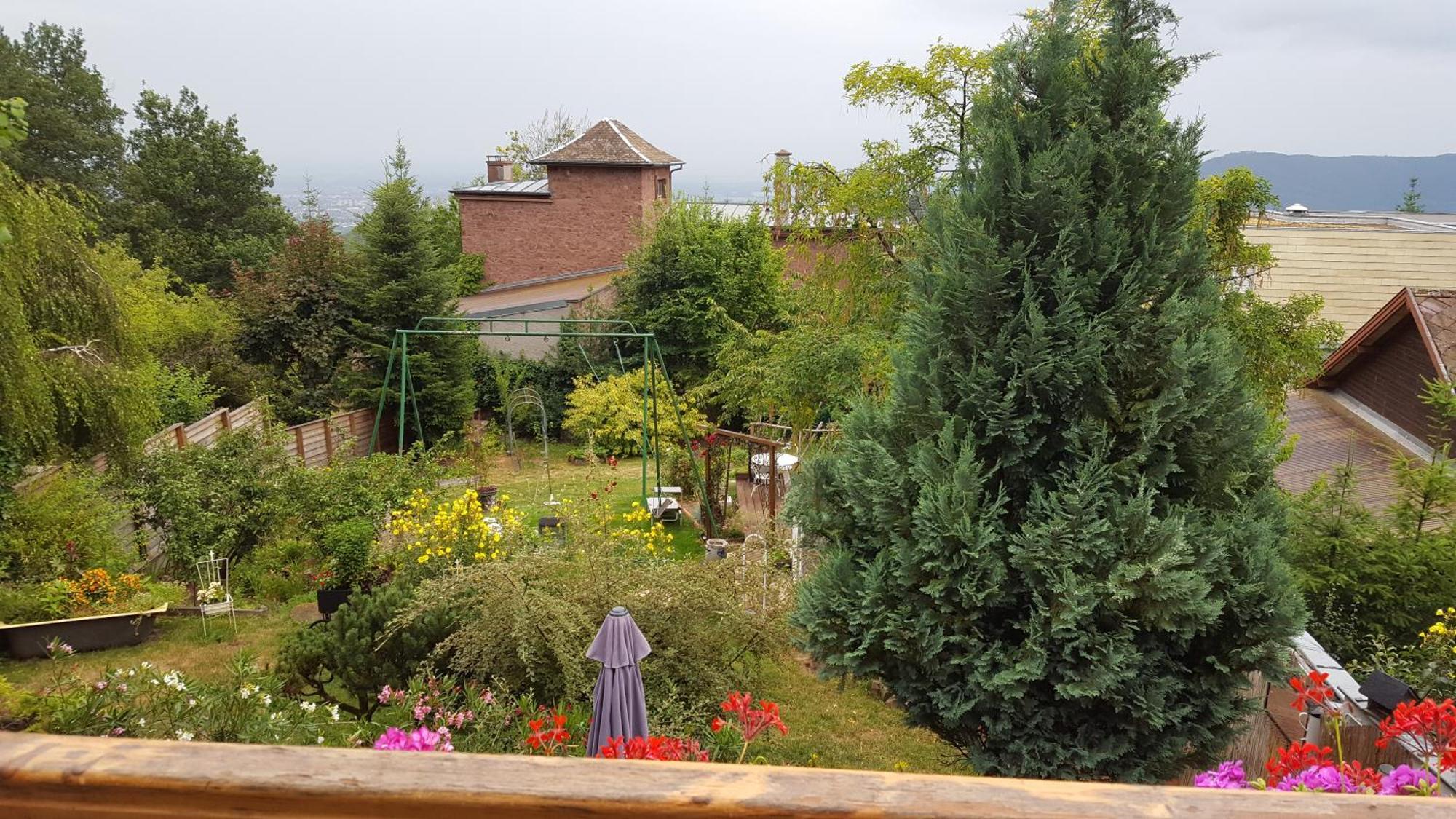 Les Iris Chambres D'Hote Niedermorschwihr Ruang foto